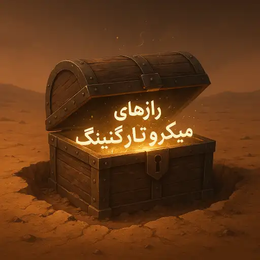 رازهای موفقیت میکرو تارگتینگ